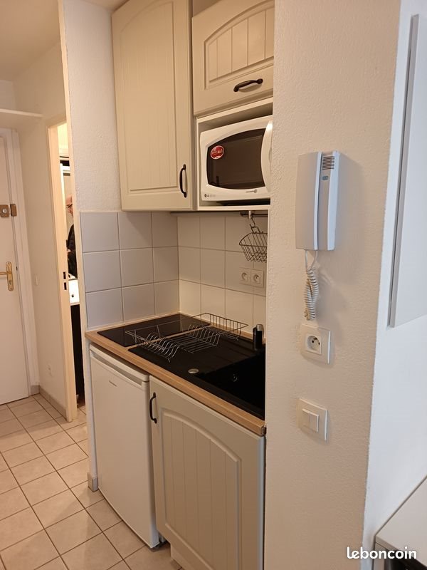 Appartement à louer, 20m², Lyon 7ème