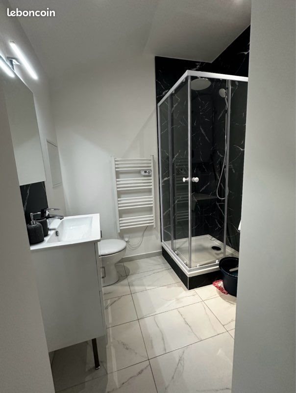 Appartement à louer, 21m², Saint-Etienne