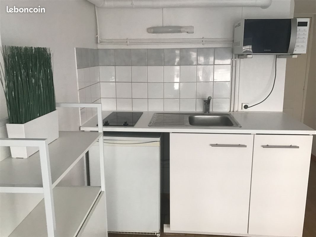 Appartement à louer, 15m², Lyon 7ème