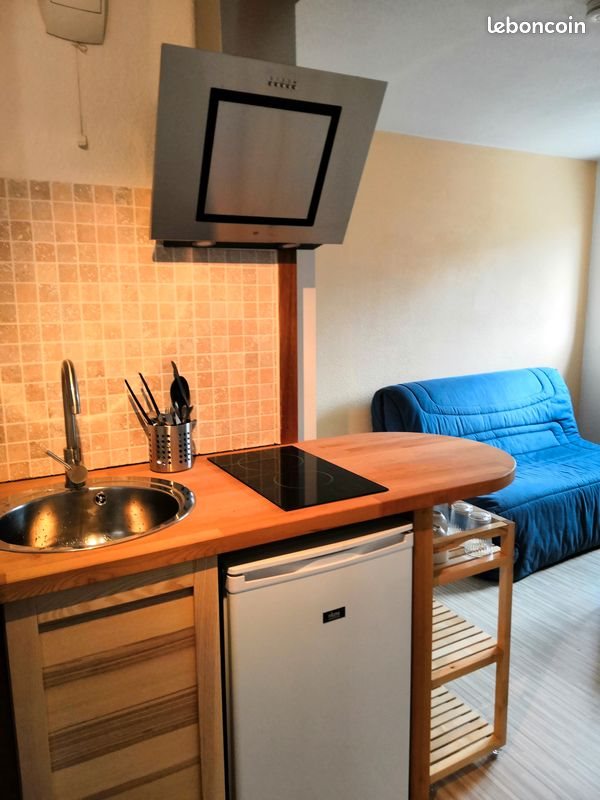 Appartement à vendre, 17m², Grenoble