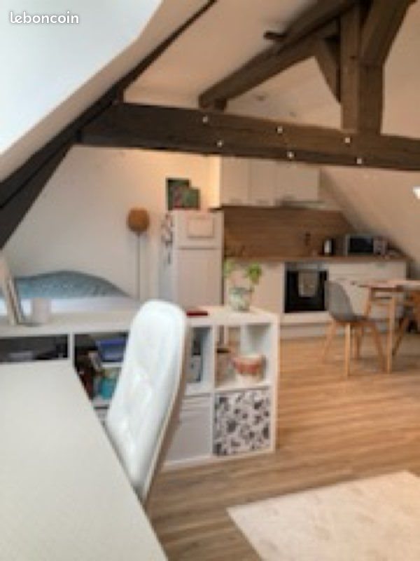 Appartement à louer, 30m², Orléans
