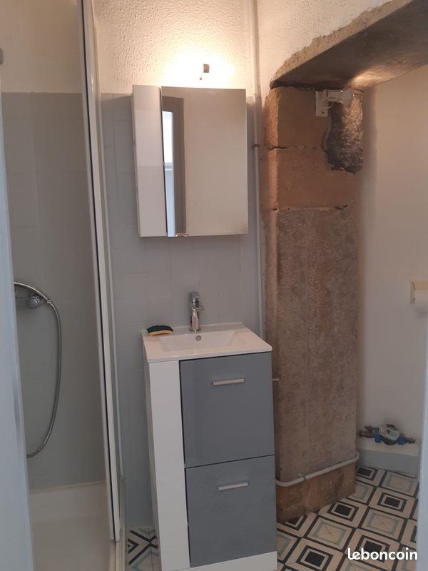 Appartement à louer, 28m², Lyon 1er