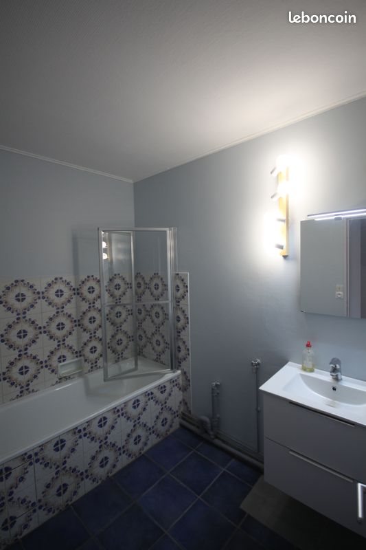 Appartement à louer, 53m², Lyon 5ème