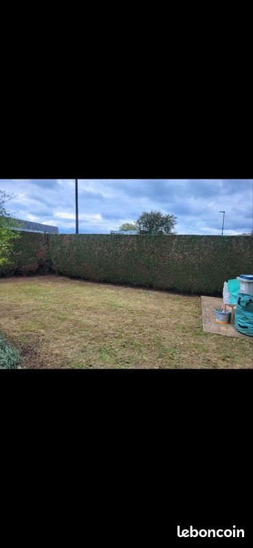 Maison à louer, 60m², Acigné