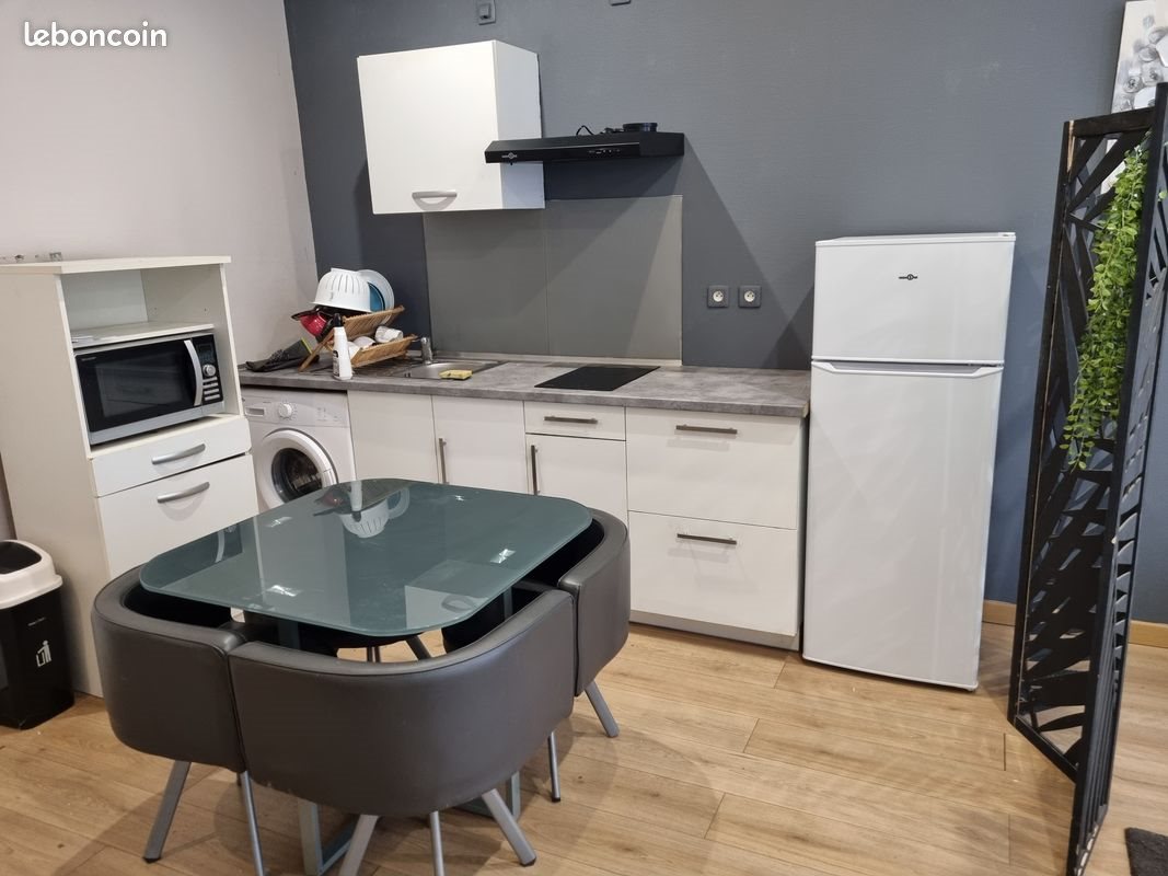 Appartement à louer, 45m², Saint-Etienne