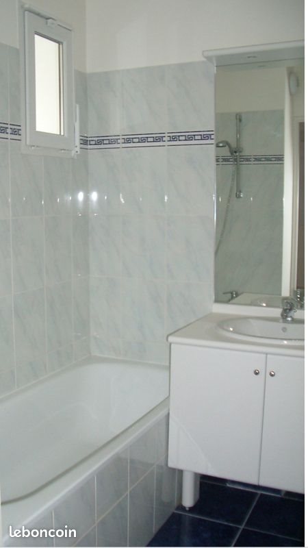 Appartement à louer, 48m², Montigny-le-Bretonneux