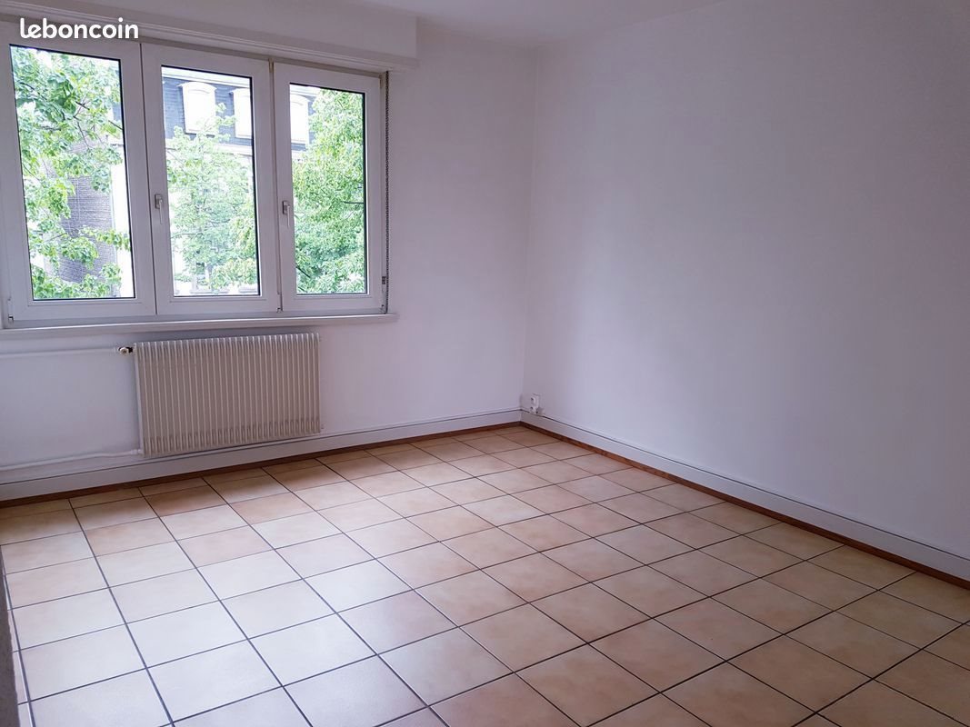 Appartement à louer, 48m², Strasbourg
