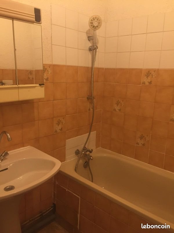 Appartement à louer, 27m², Lyon 7ème