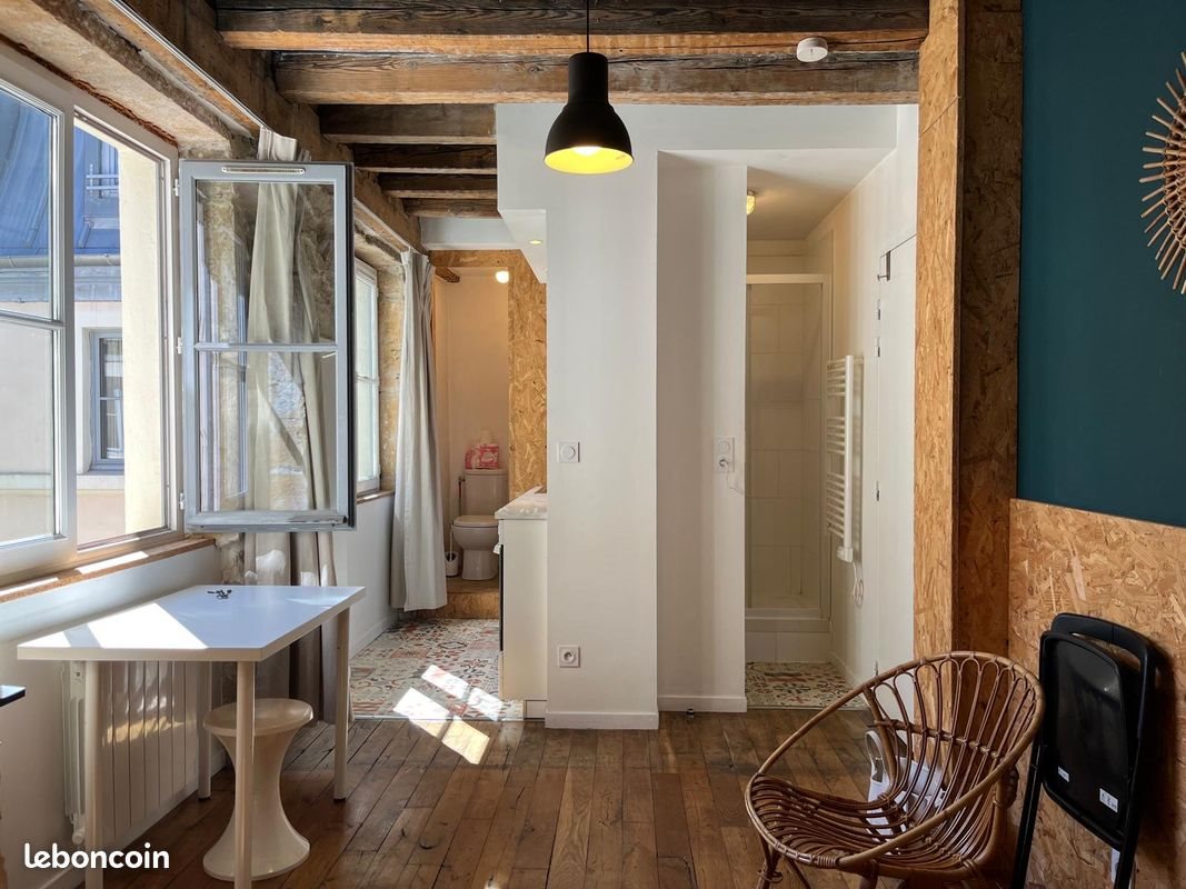 Appartement à louer, 19m², Lyon 1er