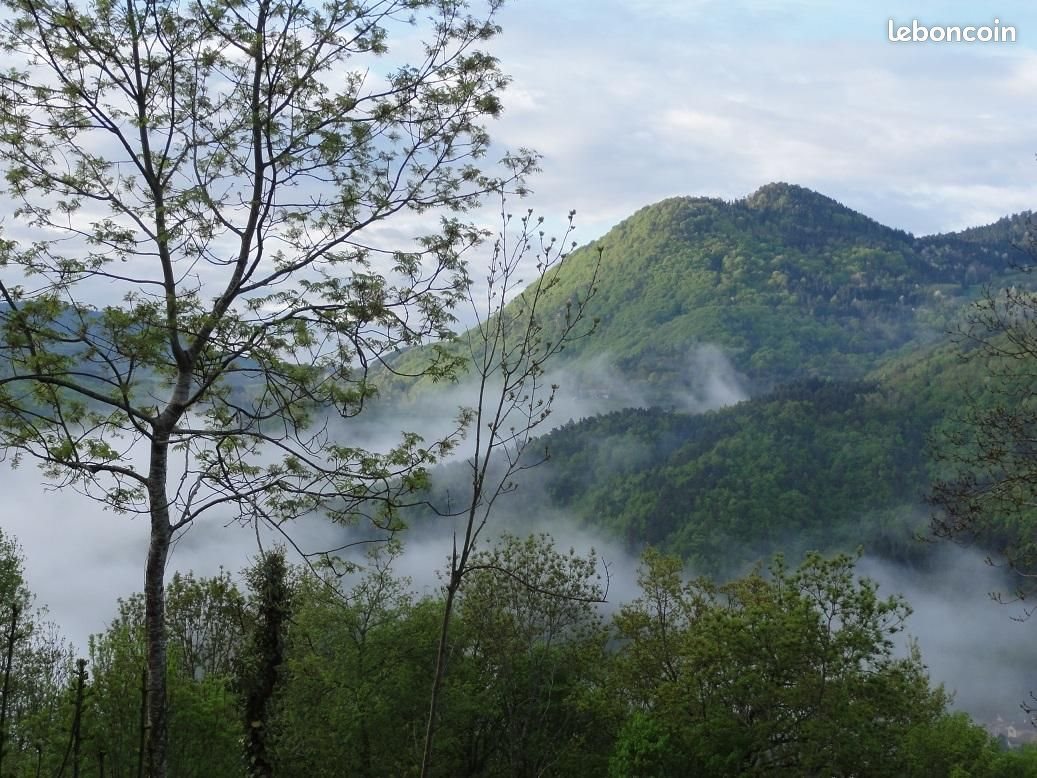 Maison à louer, 200m², Vorey