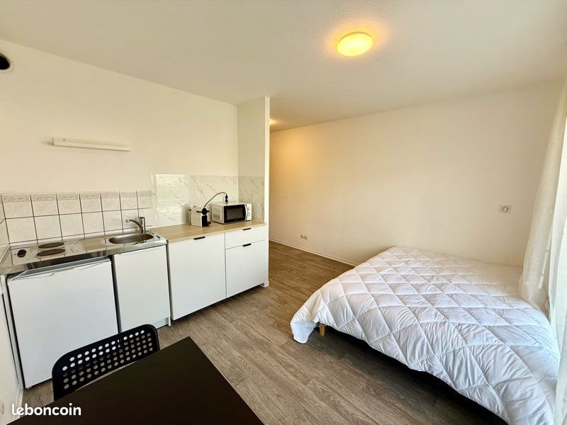 Appartement à louer, 18m², Sausheim