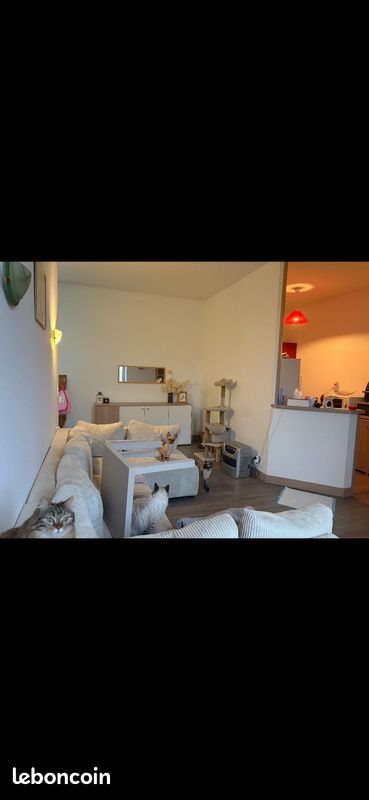 Appartement à louer, 80m², Condom