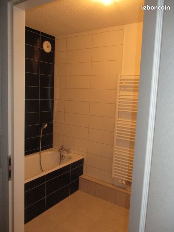 Appartement à louer, 45m², Thann