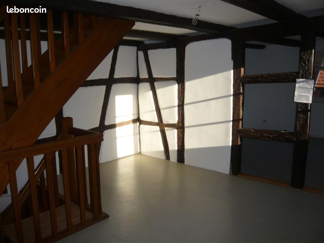 Appartement à louer, 48m², Sélestat