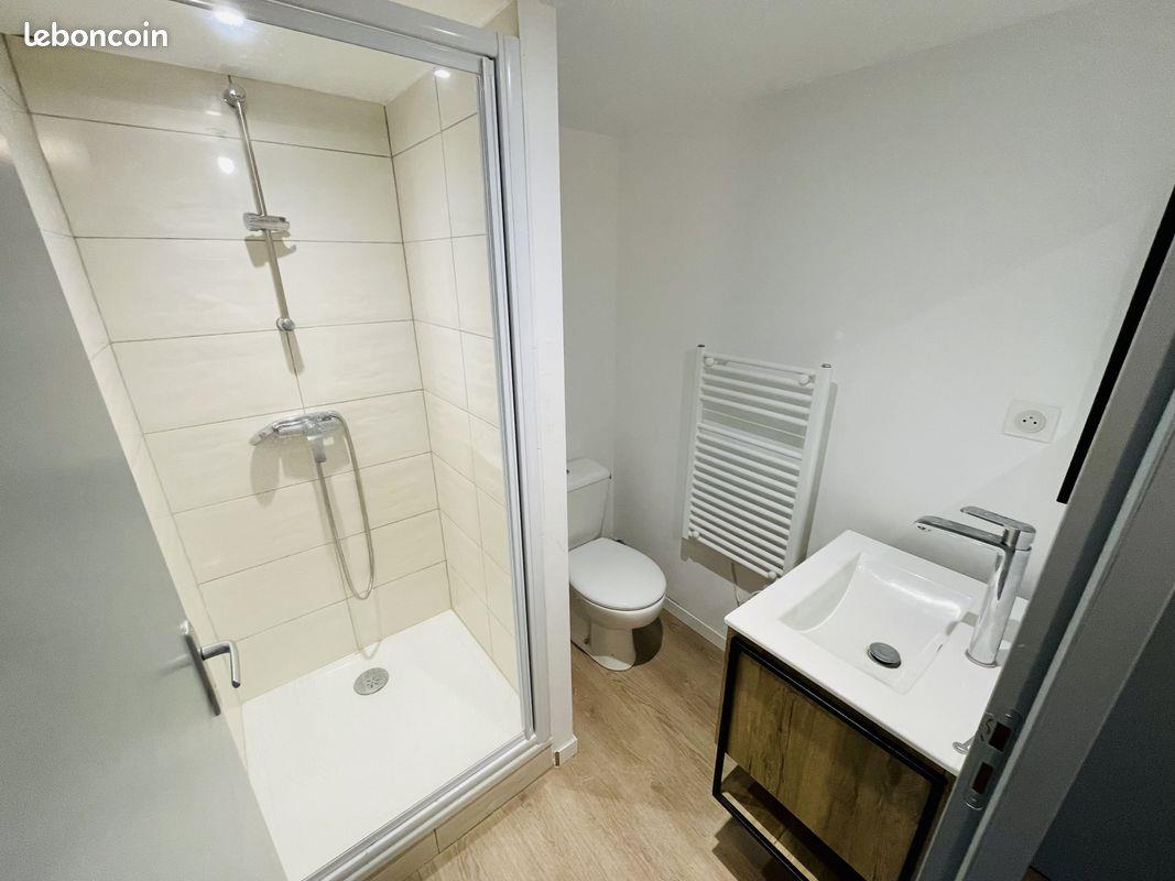 Appartement à vendre, 31m², Saint-Etienne