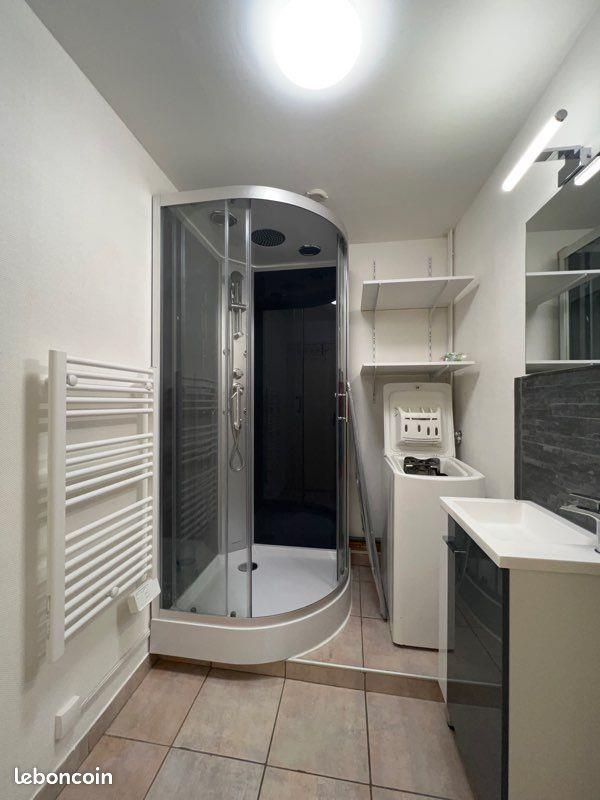 Appartement à louer, 31m², Saint-Etienne