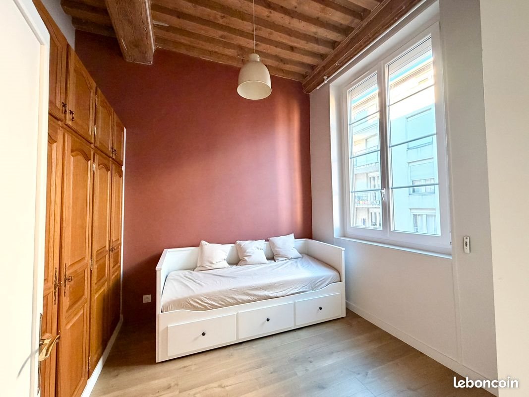 Appartement à louer, 48m², Lyon 1er