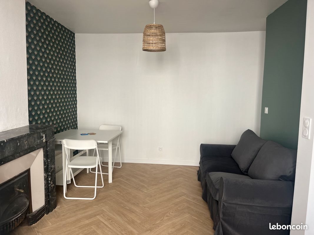 Appartement à louer, 28m², Saint-Etienne