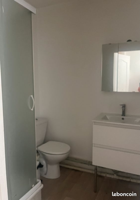 Appartement à louer, 28m², Saint-Etienne