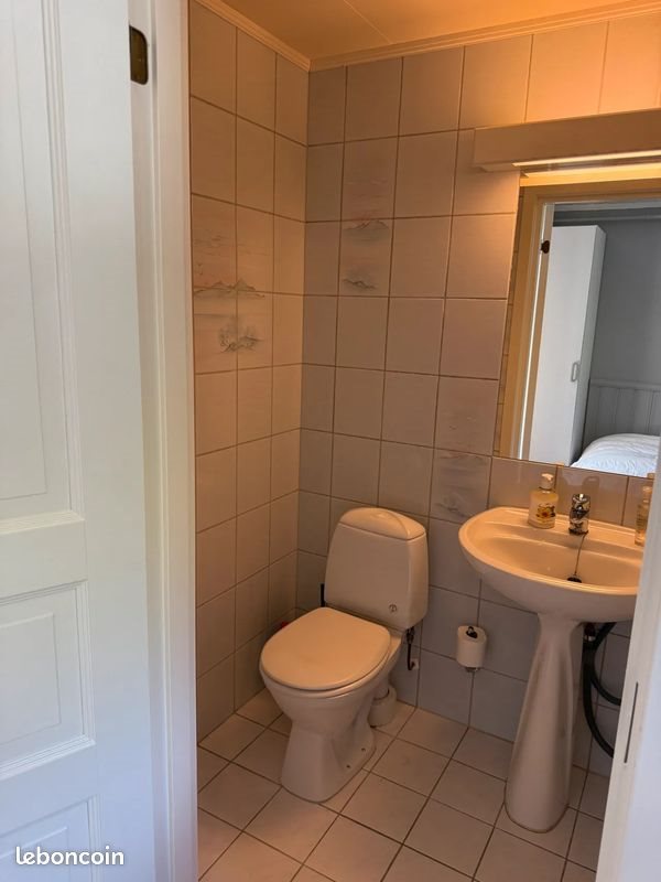 Appartement à louer, 39m², Lille