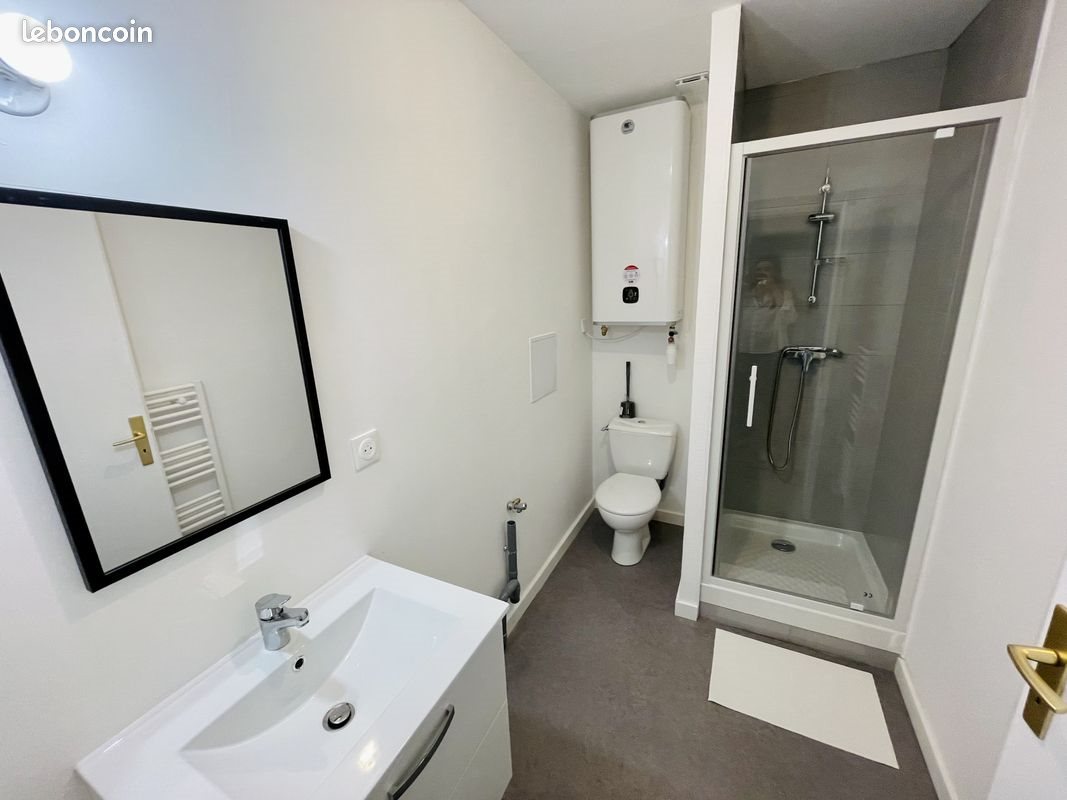 Appartement à louer, 26m², Saint-Etienne