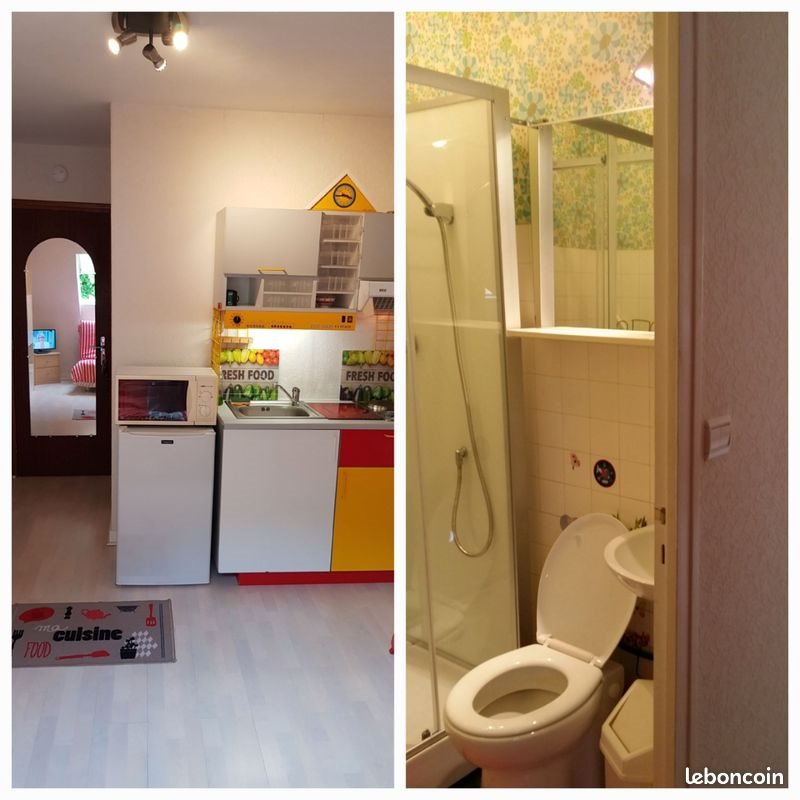 Appartement à louer, 15m², Tours