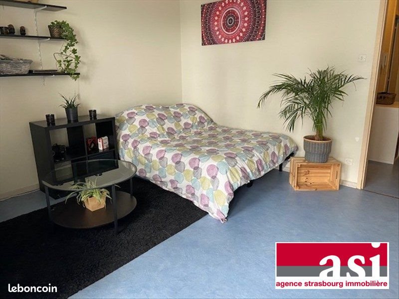 Appartement à louer, 31m², Strasbourg