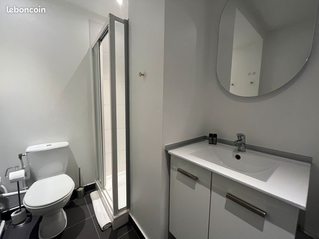 Appartement à louer, 28m², Lyon 2ème