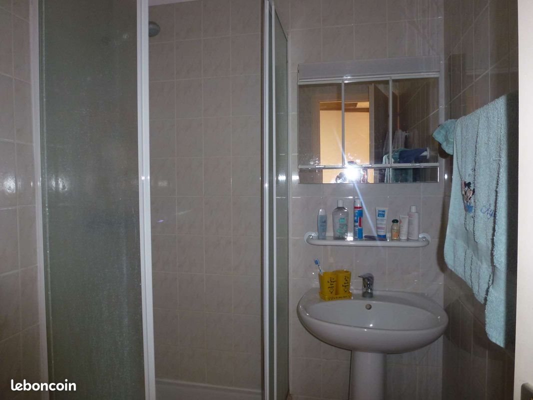 Appartement à louer, 34m², Albertville