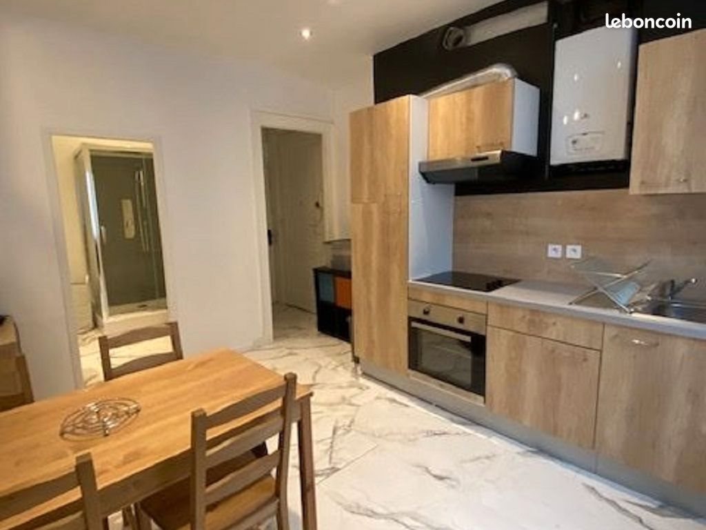 Appartement à louer, 44m², Saint-Etienne