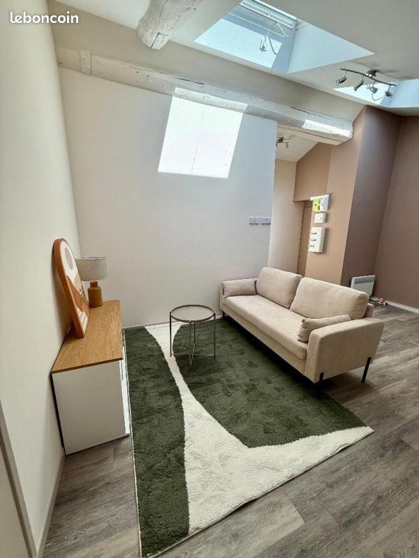 Appartement à louer, 39m², Saint-Etienne