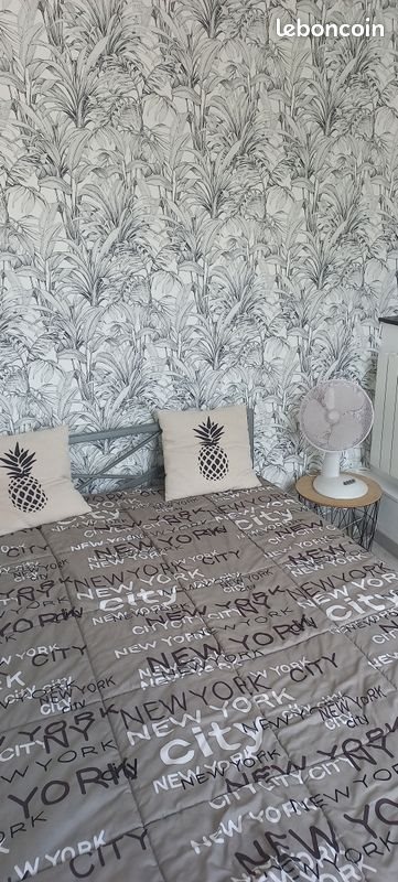 Appartement à louer, 42m², Sainte-Catherine