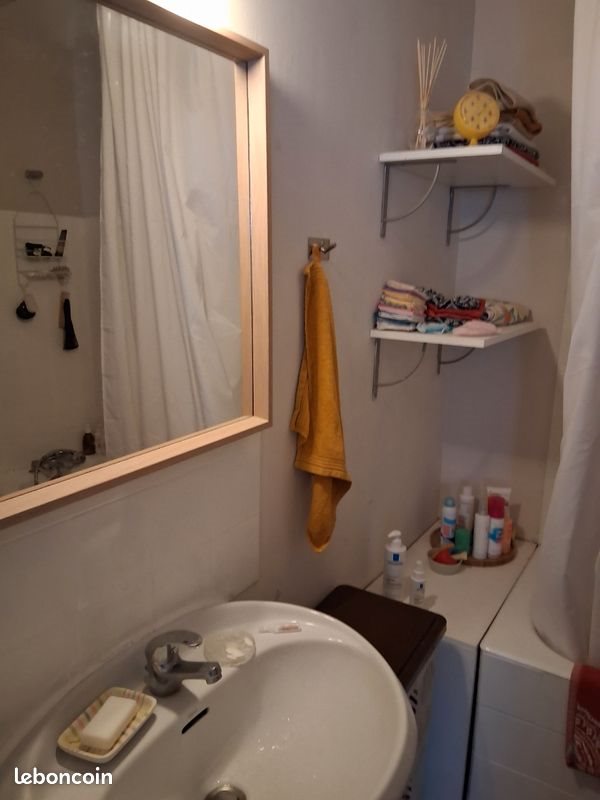 Appartement à louer, 46m², Lyon 5ème