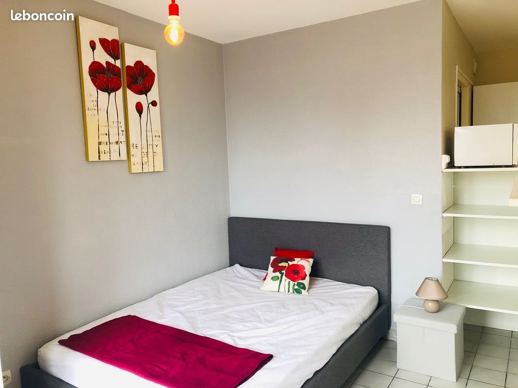 Appartement à louer, 30m², Andrézieux-Bouthéon