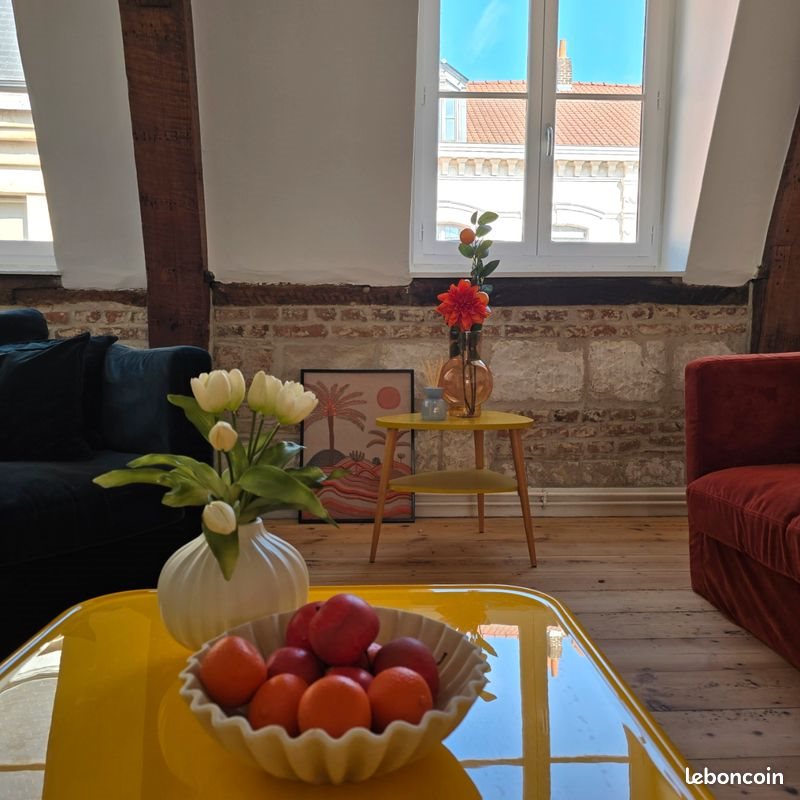 Appartement à louer, 100m², Lille