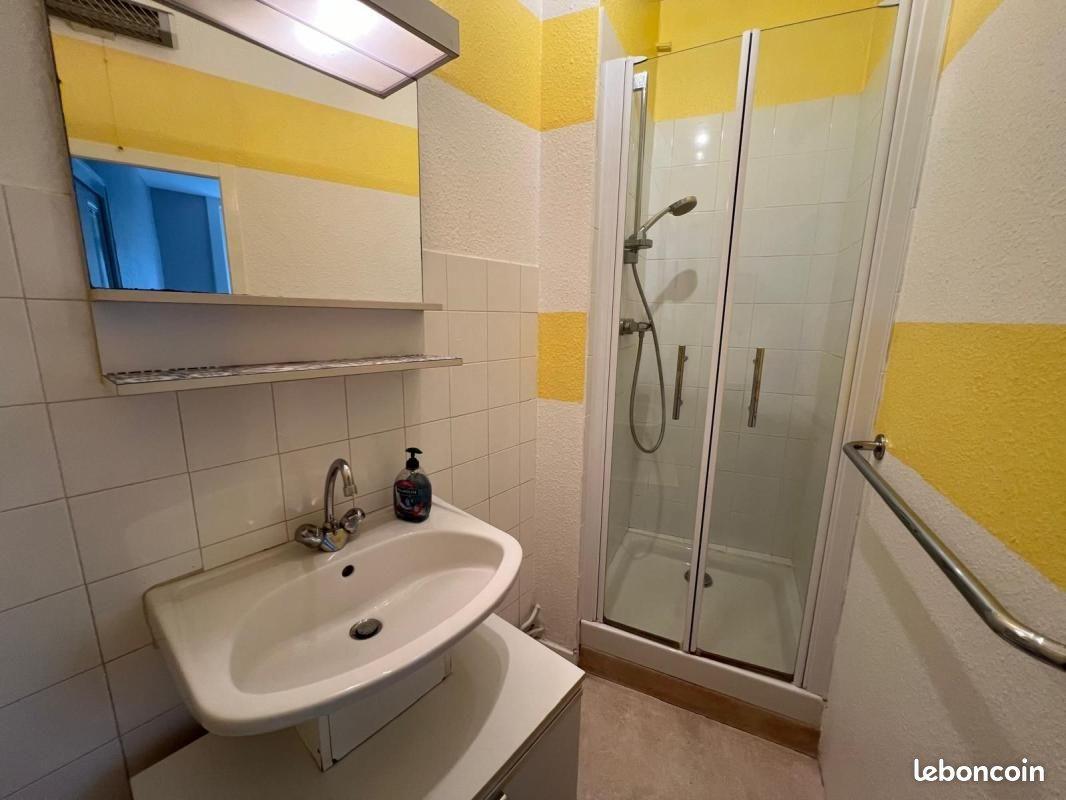 Appartement à louer, 33m², Saint-Etienne