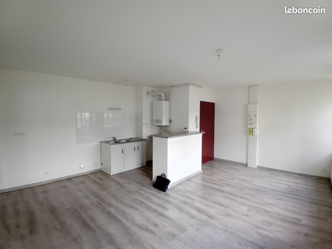 Appartement à vendre, 47m², Saint-Etienne
