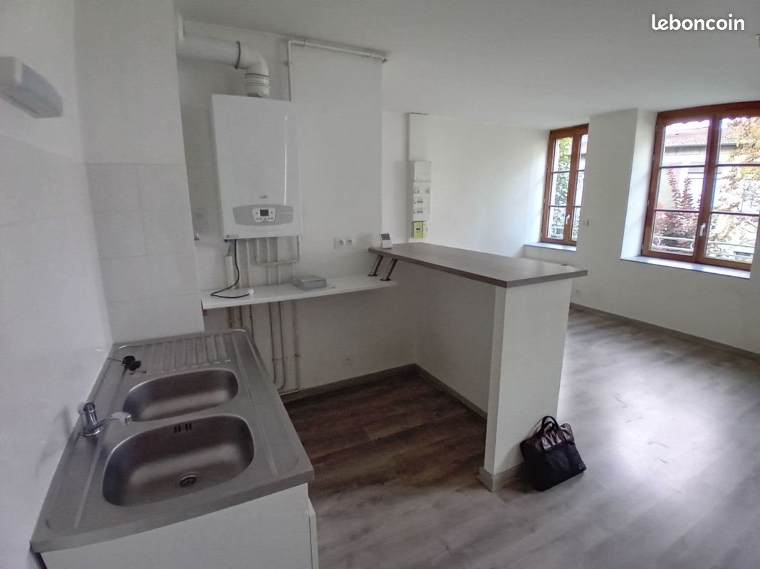 Appartement à vendre, 47m², Saint-Etienne