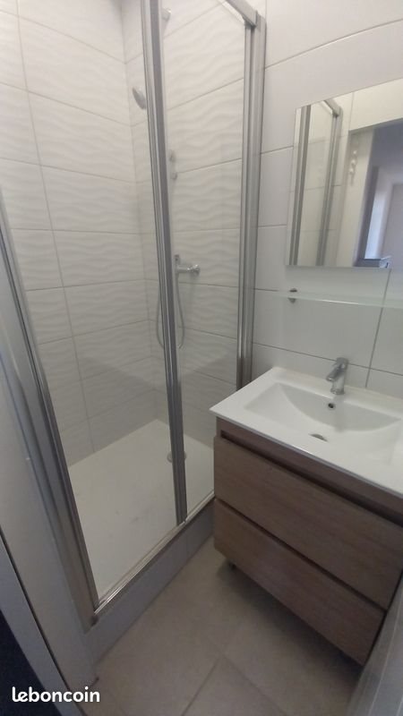 Appartement à louer, 54m², Le Chambon-Feugerolles