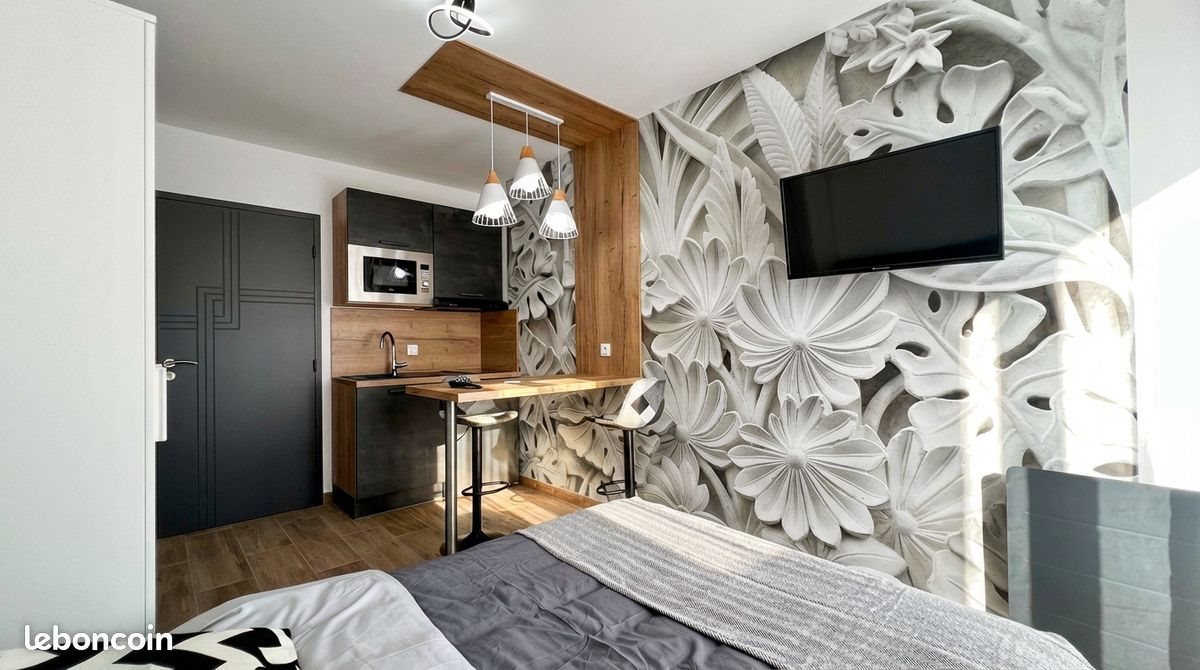 Appartement à louer, 20m², La Chaize-le-Vicomte