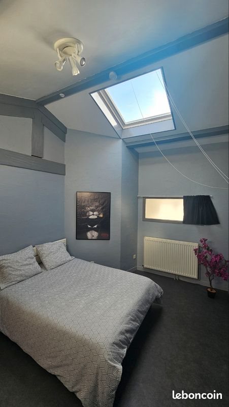 Appartement à louer, 45m², Veauchette