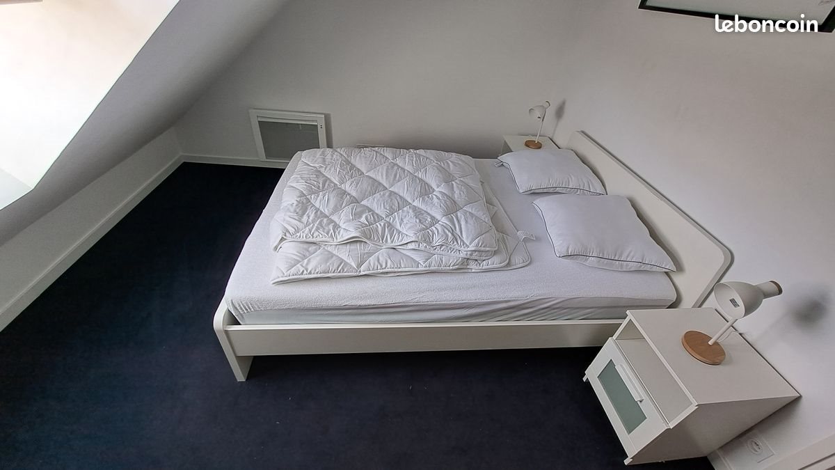 Appartement à louer, 50m², Lille