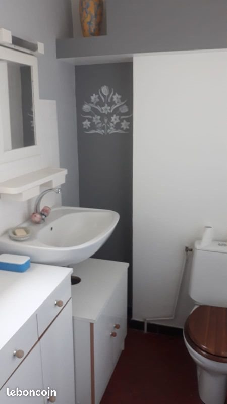 Appartement à louer, 29m², Chinon