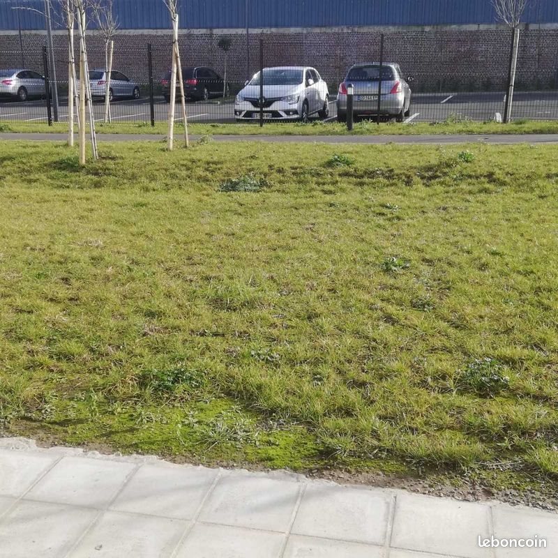 Appartement à louer, 60m², Lys-lez-Lannoy