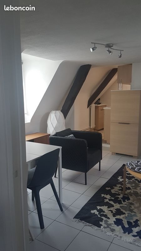 Appartement à louer, 45m², Tours