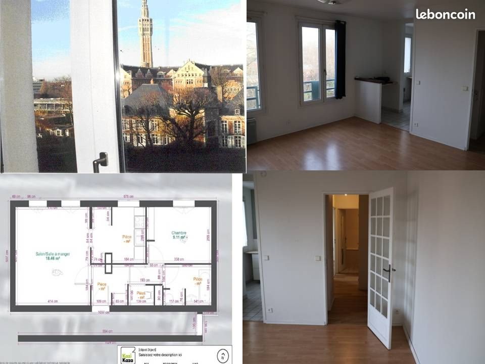 Appartement à louer, 46m², Lille