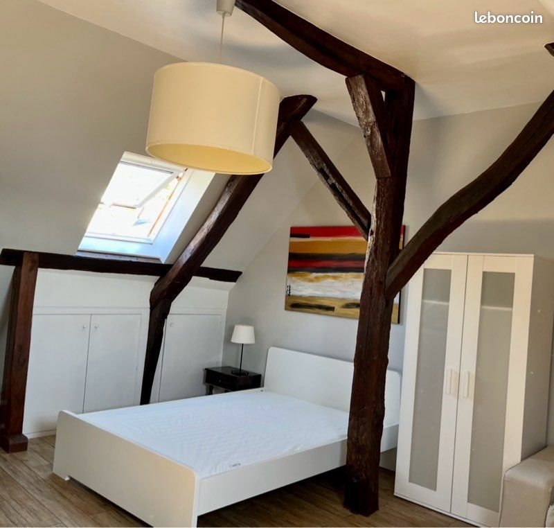 Appartement à louer, 30m², Chinon