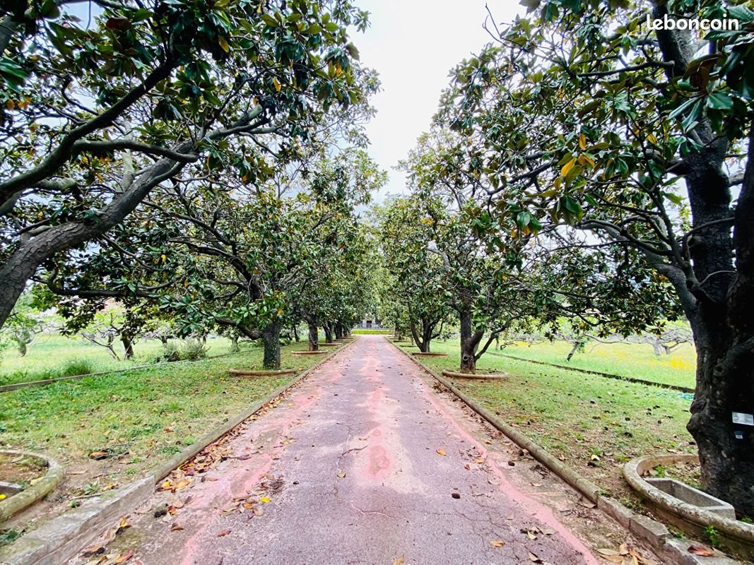 Appartement à louer, 71m², Solliès-Pont