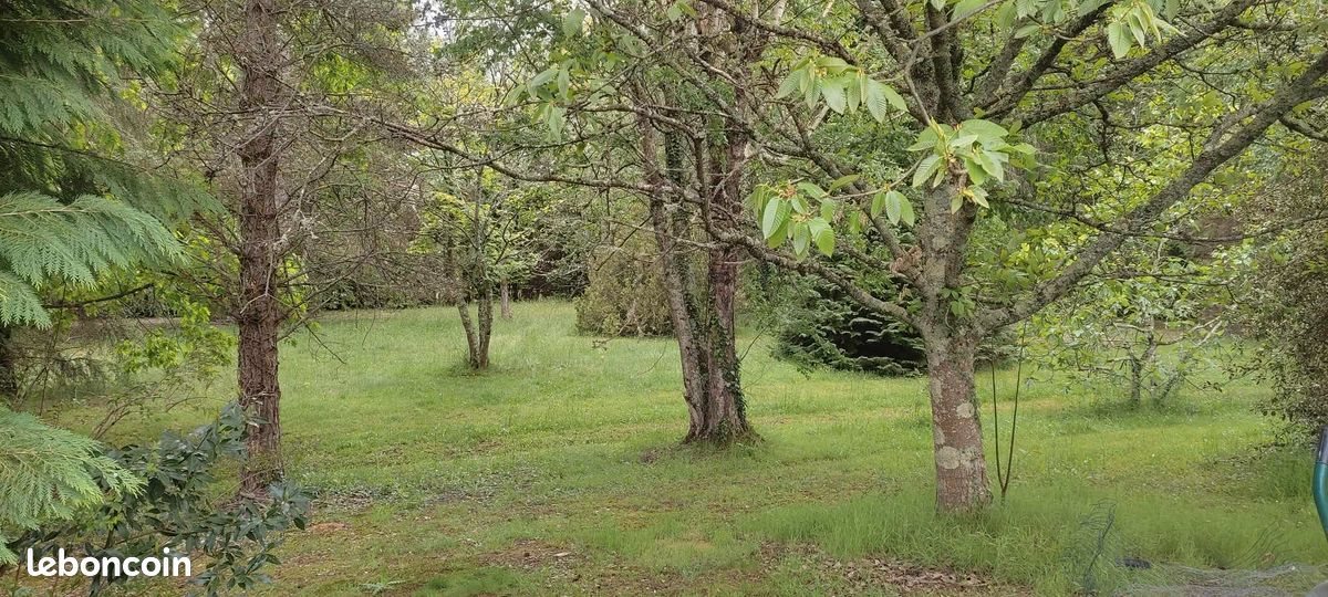 Maison à vendre, 225m², Cantaous