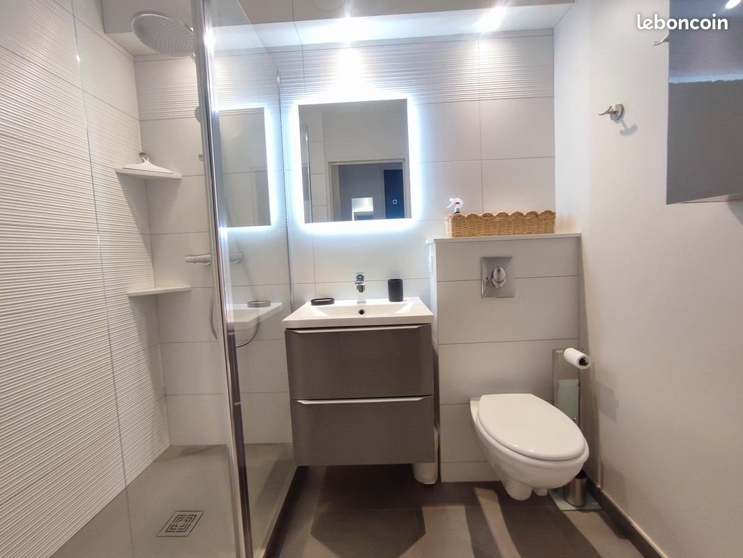 Appartement à louer, 32m², Saint-Etienne